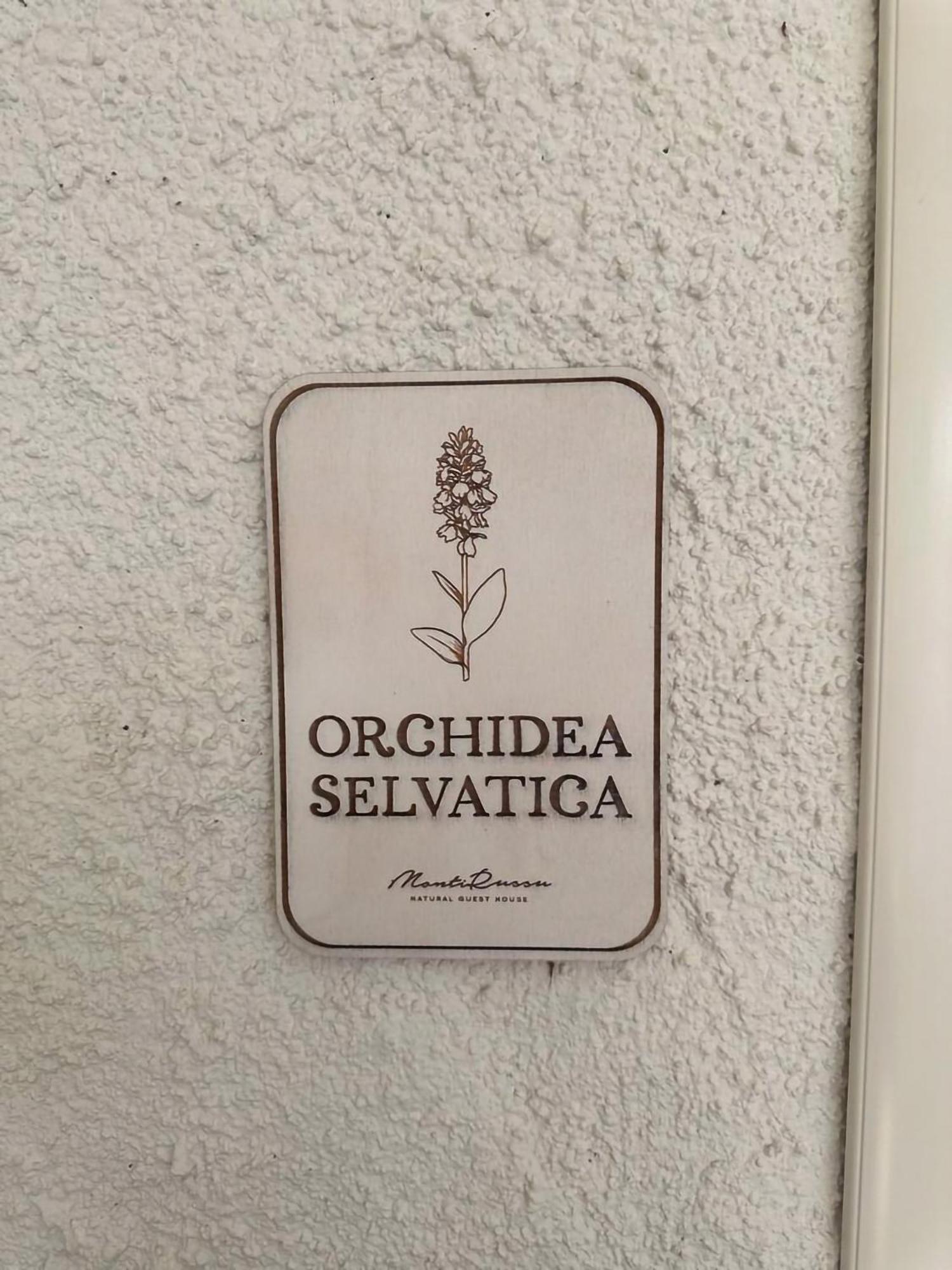 Monti Russu Natural Guest House Aglientu Zewnętrze zdjęcie